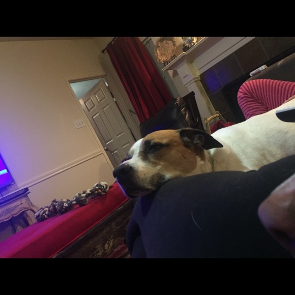 Meet your Posher, Johanna - Picture 1 of 1